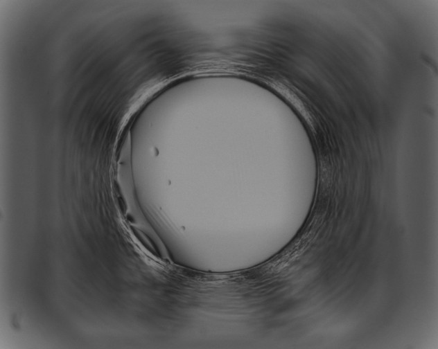 X0000097461485200803201415