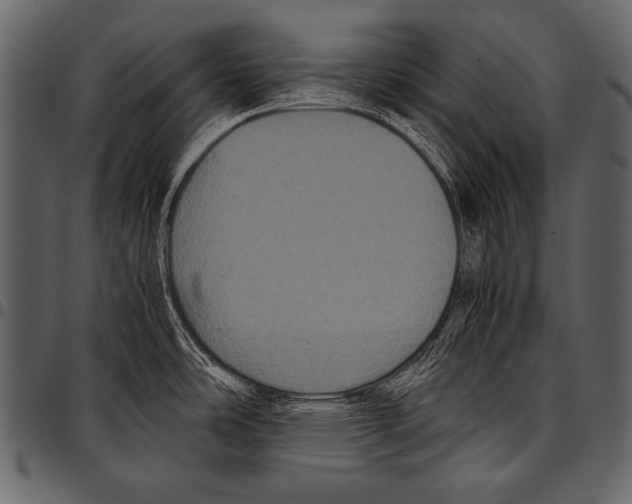 X0000097461486200803201415