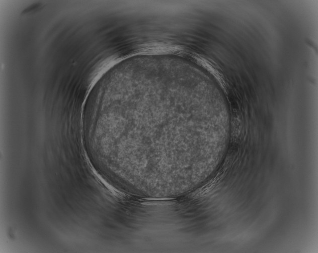 X0000097461487200803201415