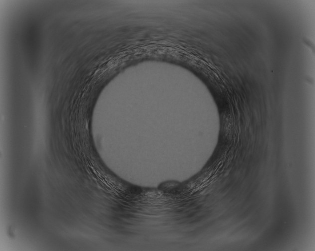 X0000097461489200803201415