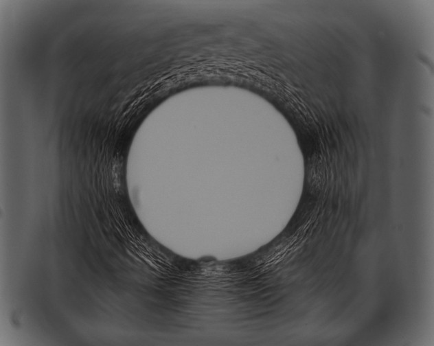 X0000097461490200803201415