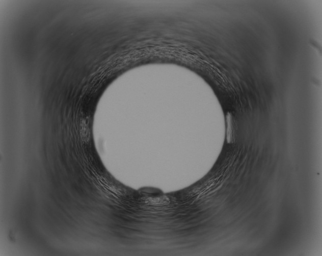 X0000097461491200803201415