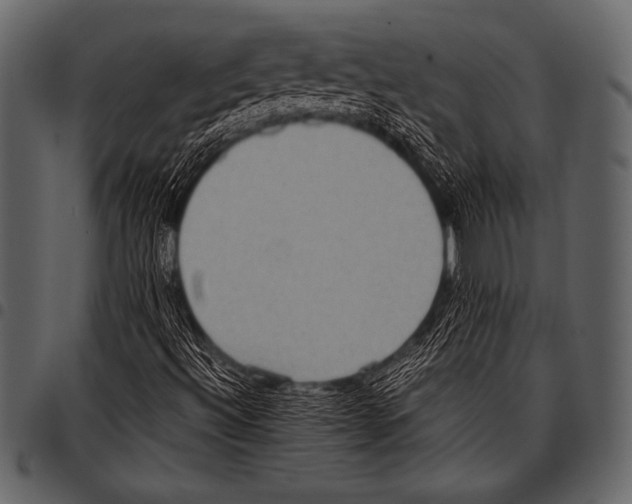 X0000097461492200803201415