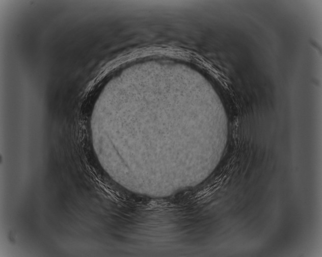 X0000097461496200803201415