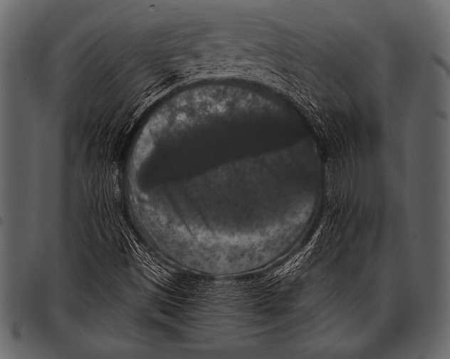 X0000097461497200803201415