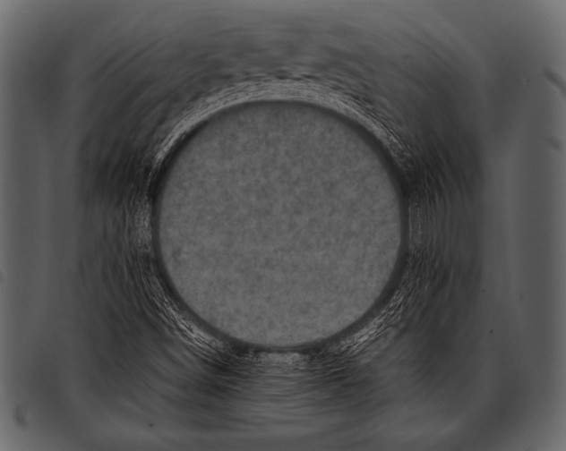 X0000097461498200803201415