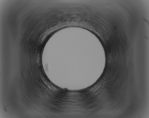 X0000097461499200803201415