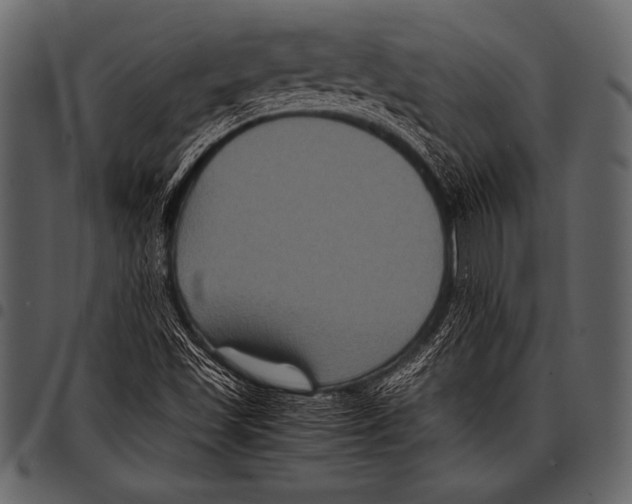 X0000097461501200803201415