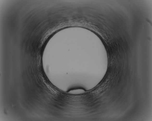 X0000097461507200803201415