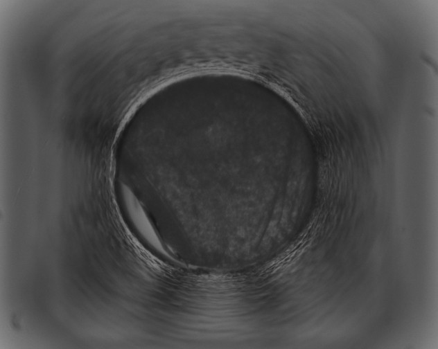 X0000097461508200803201415