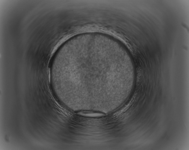 X0000097461509200803201415