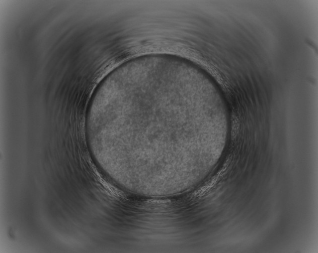 X0000097461513200803201415