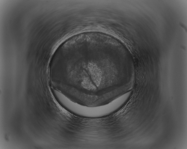 X0000097461519200803201415