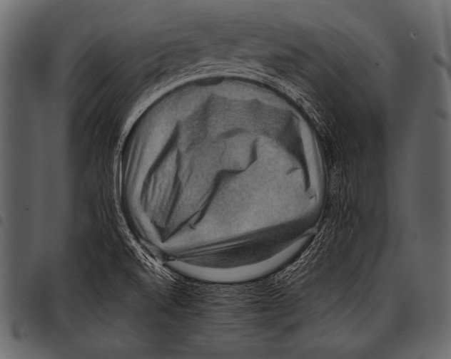 X0000097461520200803201415