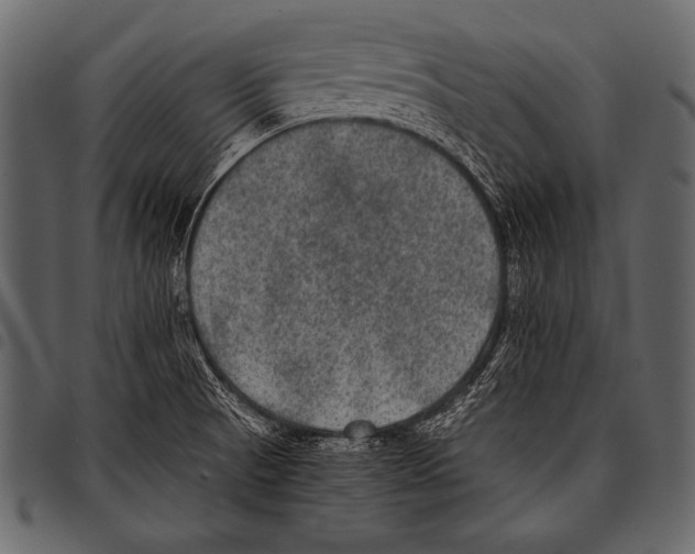 X0000097461521200803201415