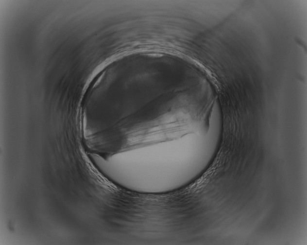 X0000097461522200803201415