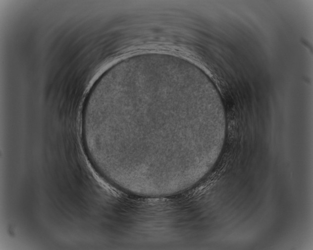 X0000097461523200803201415