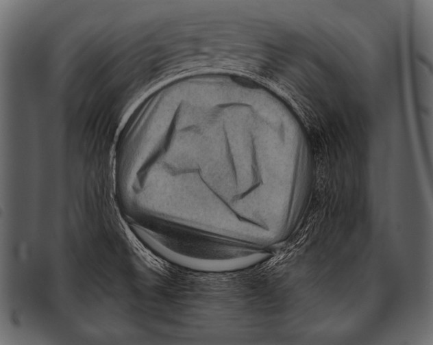 X0000097461524200803201415