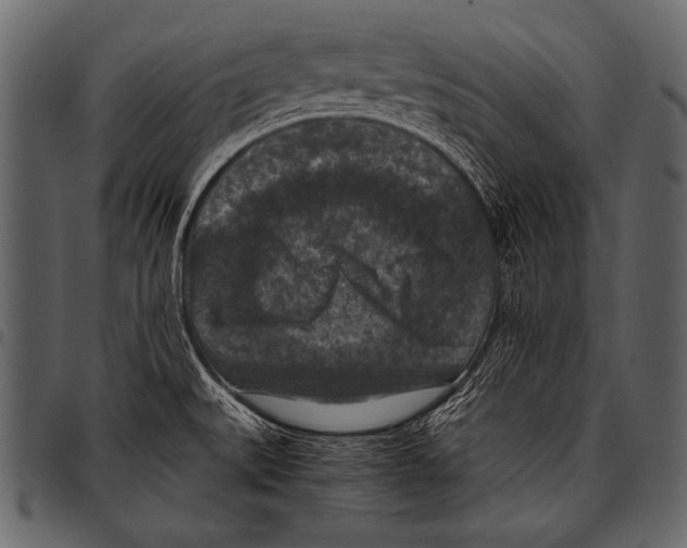 X0000097461527200803201415