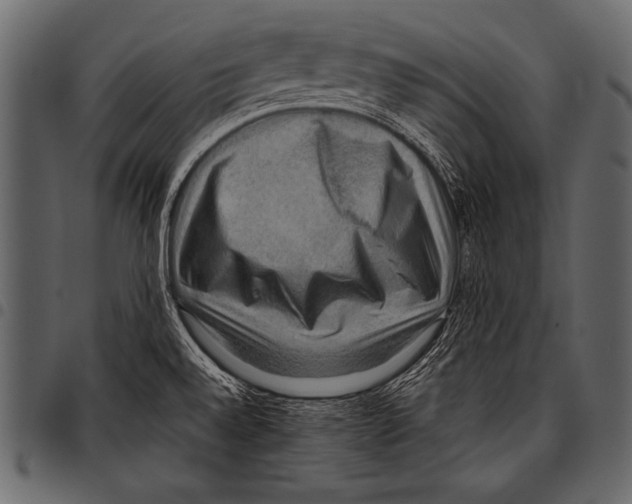 X0000097461528200803201415