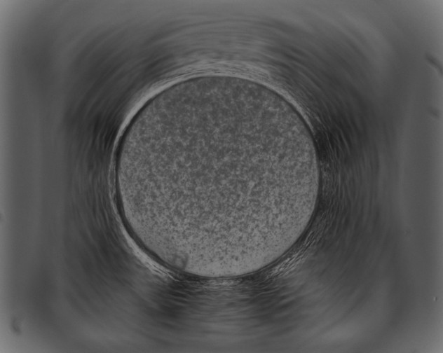 X0000097461531200803201415