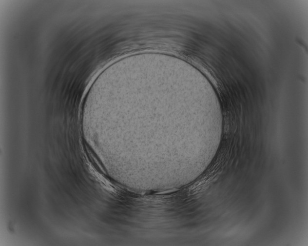 X0000097461532200803201415