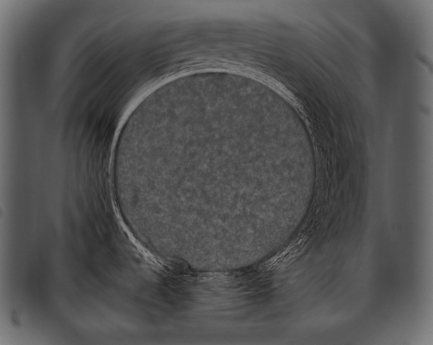 X0000097461536200803201415