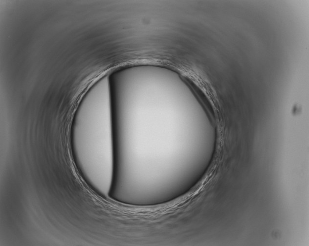 X0000097470001200802220839