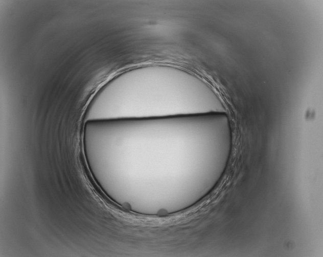 X0000097470002200802220839