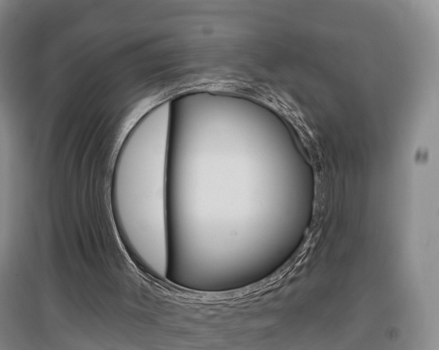 X0000097470003200802220839