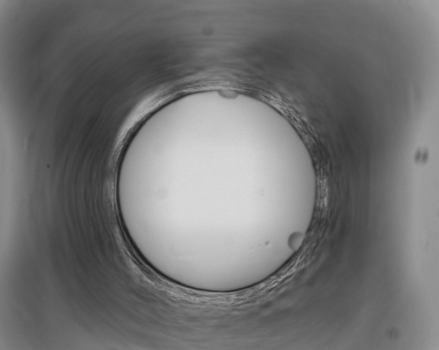 X0000097470004200802220839