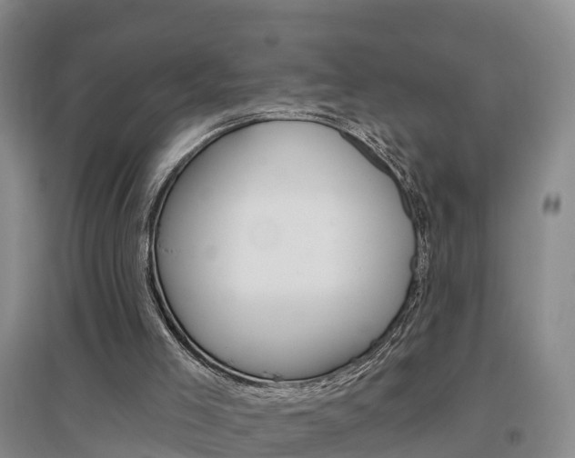 X0000097470005200802220839