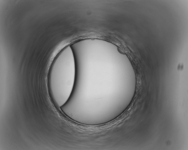 X0000097470006200802220839