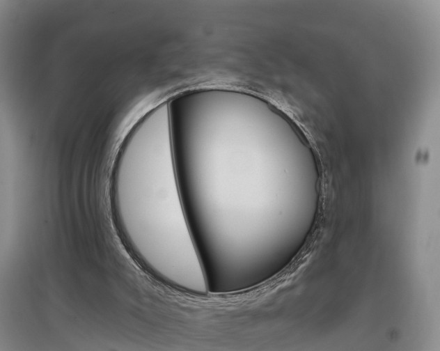 X0000097470007200802220839