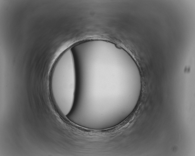 X0000097470008200802220839