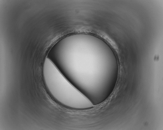 X0000097470009200802220839