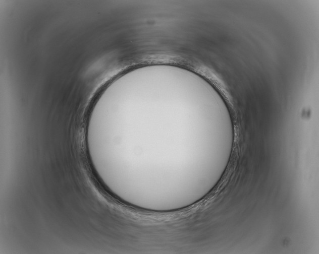 X0000097470012200802220839