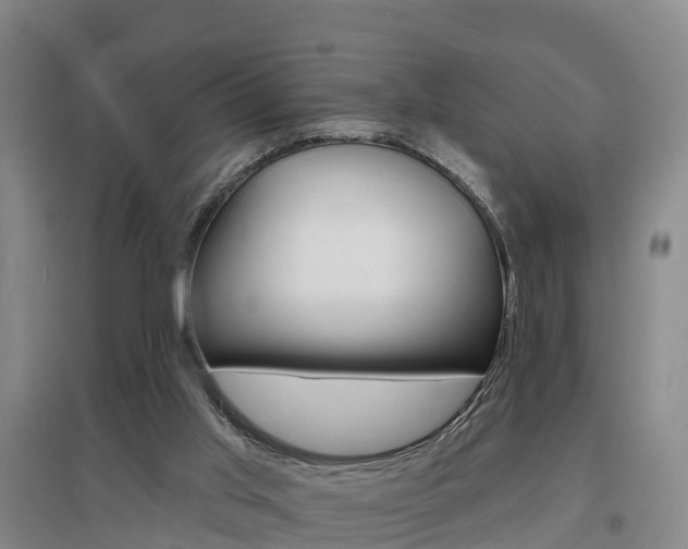 X0000097470013200802220839