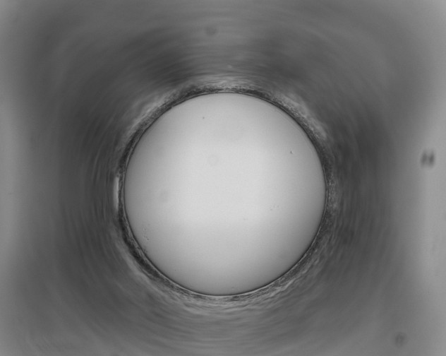 X0000097470014200802220839