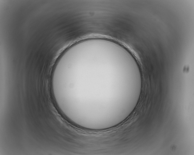 X0000097470015200802220839