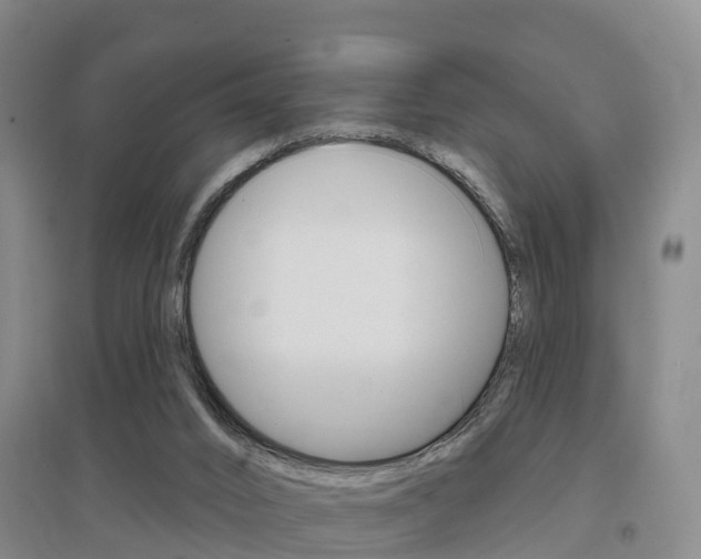 X0000097470016200802220839