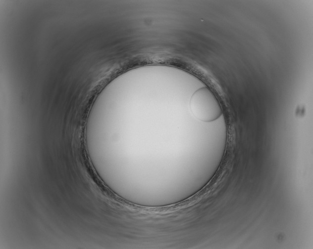 X0000097470018200802220839