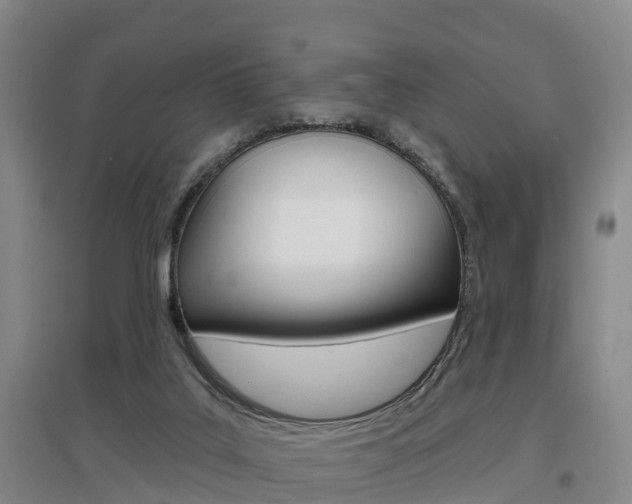 X0000097470019200802220839