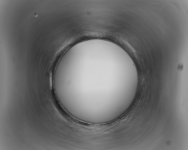 X0000097470020200802220839