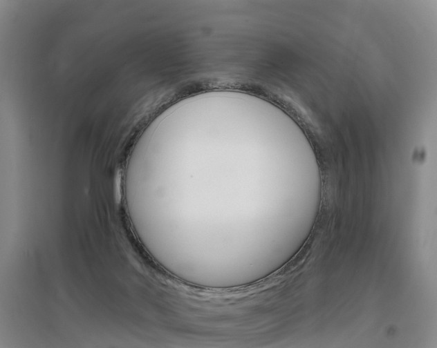 X0000097470022200802220839