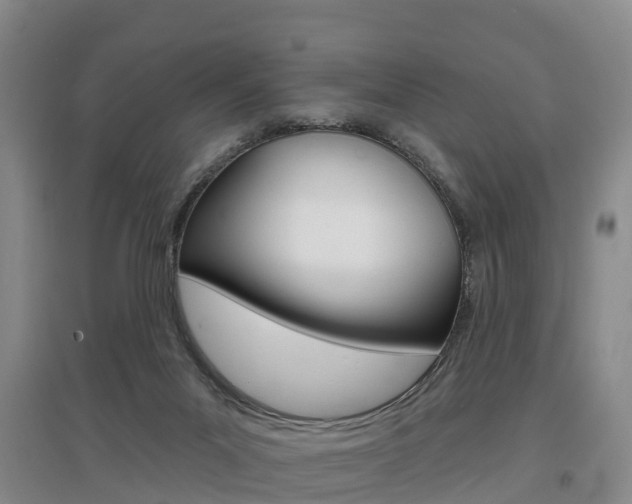 X0000097470023200802220839