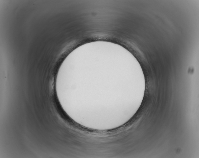 X0000097470024200802220839