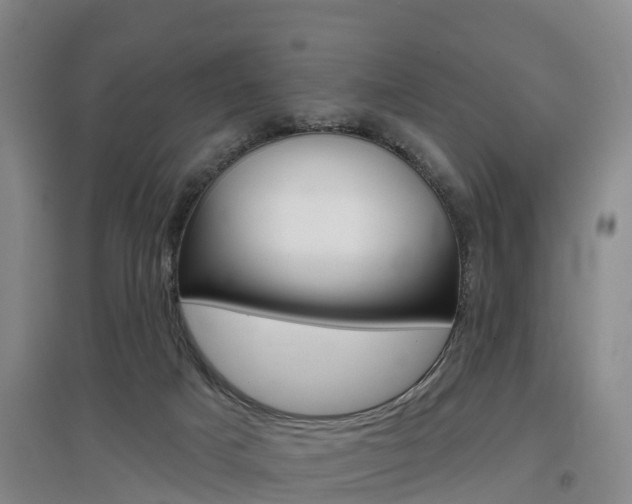 X0000097470025200802220839