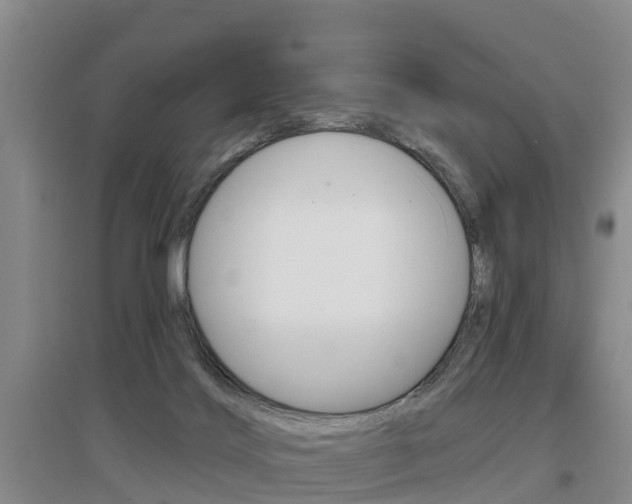 X0000097470028200802220839