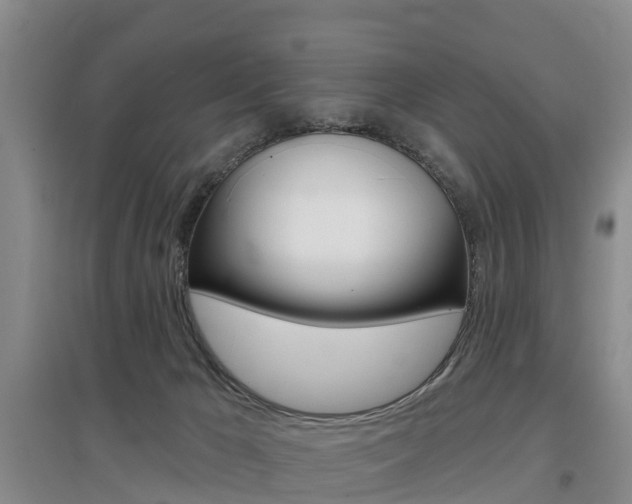 X0000097470029200802220839